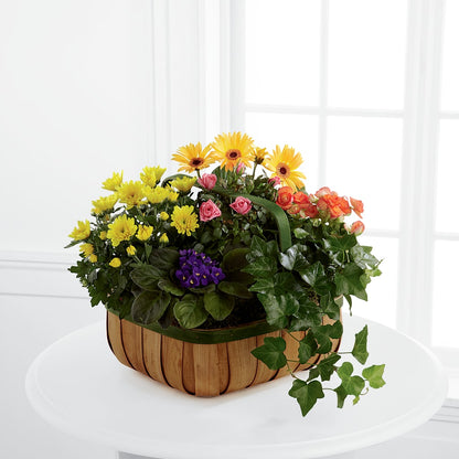 Gentle Blossoms Basket – ANNA'S FLOWERS & GIFTS, West Long Branch NJ