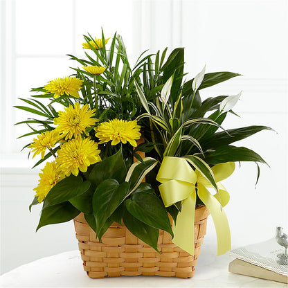 Loving Light Dishgarden – ANNA'S FLOWERS & GIFTS, West Long Branch NJ