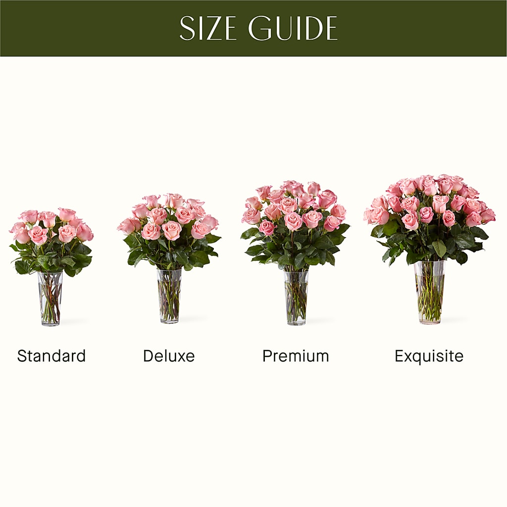 Long Stem Pink Rose Bouquet – ANNA'S FLOWERS & GIFTS, West Long Branch NJ