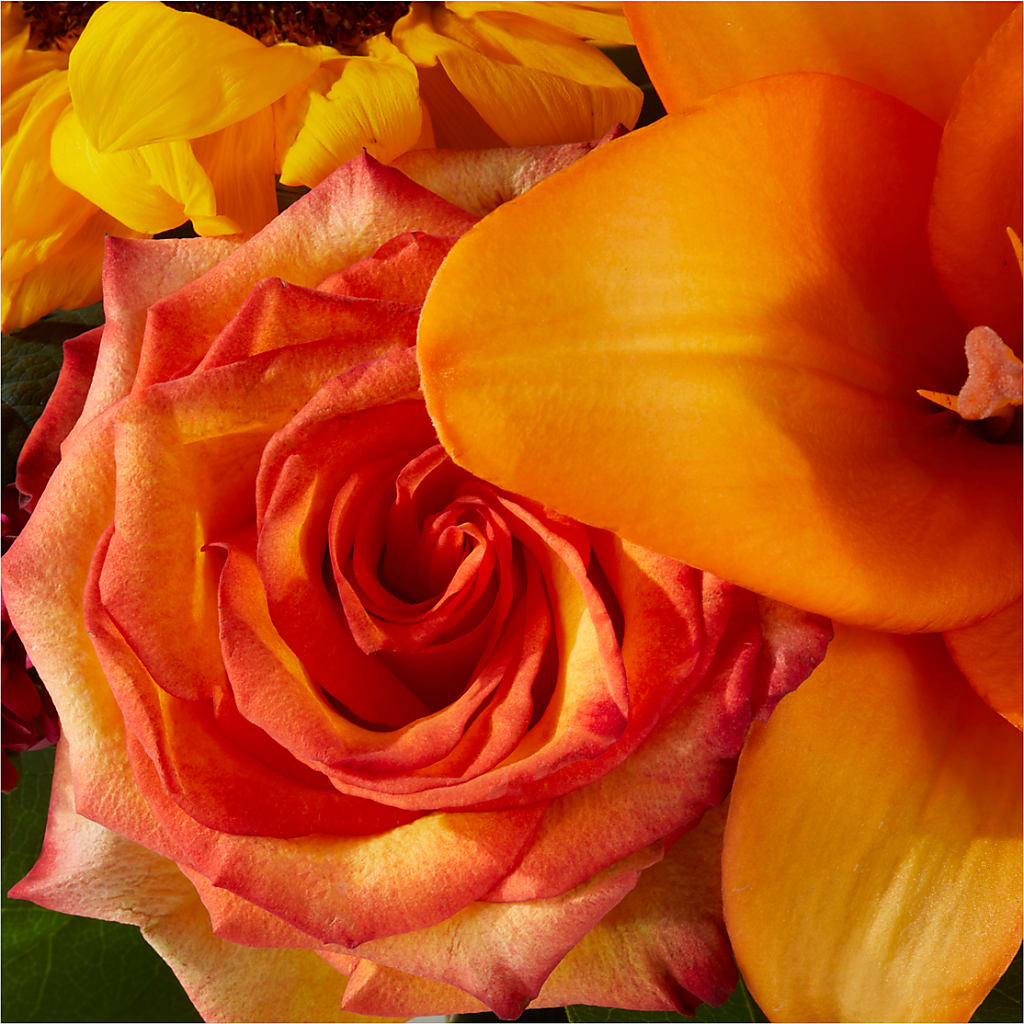 Grateful Centerpiece – ANNA'S FLOWERS & GIFTS, West Long Branch NJ